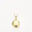 Blush Blush Medailon 6081YGO 14k Geelgoud 11mm x 17mm (excl. Collier)