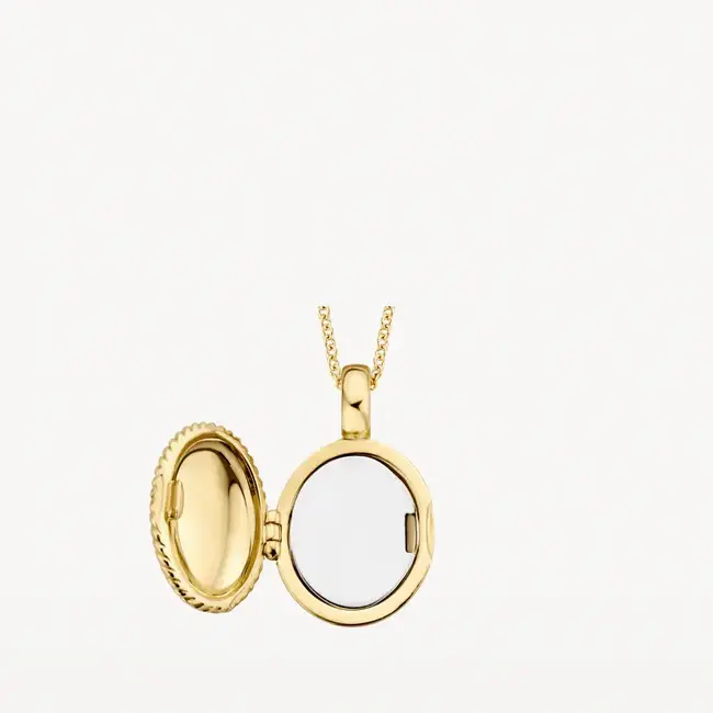 Blush Blush Medailon 6081YGO 14k Geelgoud 11mm x 17mm (excl. Collier)