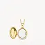 Blush Blush Medailon 6081YGO 14k Geelgoud 11mm x 17mm (excl. Collier)