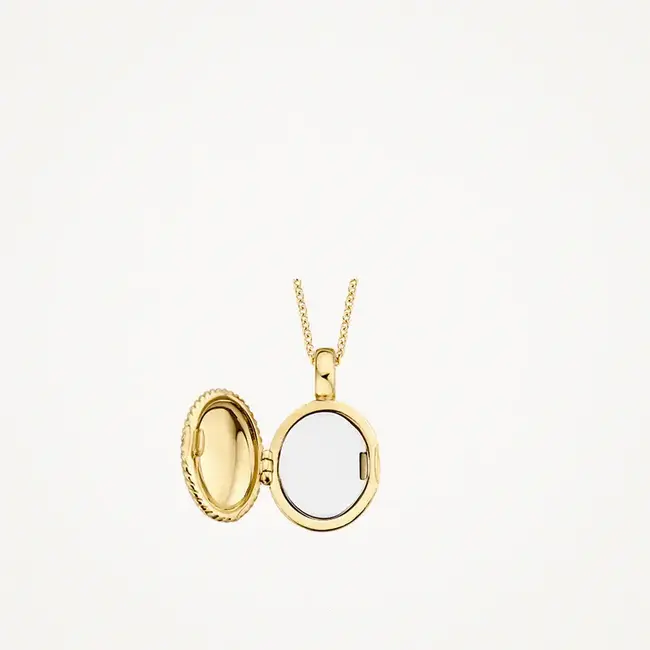 Blush Blush Medallion Hanger 6087YGO 14k Geelgoud Ovaal