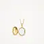 Blush Blush Medallion Hanger 6087YGO 14k Geelgoud Ovaal