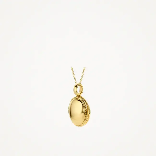 Blush Blush Medallion Hanger 6087YGO 14k Geelgoud Ovaal