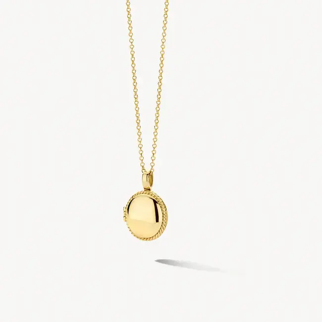 Blush Blush Medallion Hanger 6087YGO 14k Geelgoud Ovaal