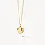 Blush Blush Medallion Hanger 6087YGO 14k Geelgoud Ovaal