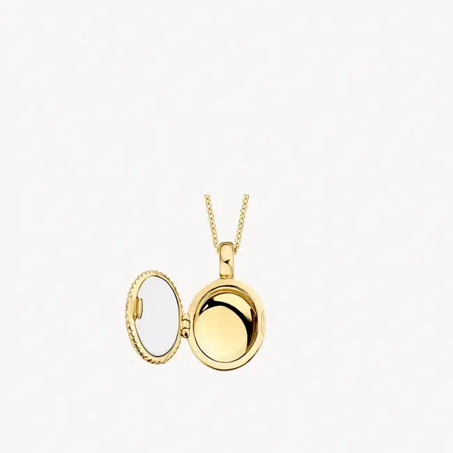 Blush Blush Medallion Hanger 6087YGO 14k Geelgoud Ovaal