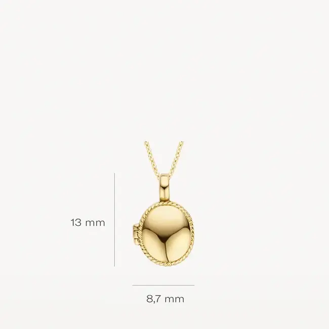 Blush Blush Medallion Hanger 6087YGO 14k Geelgoud Ovaal