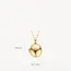 Blush Blush Medallion Hanger 6087YGO 14k Geelgoud Ovaal