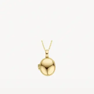 Blush Blush Medallion Hanger 6087YGO 14k Geelgoud Ovaal