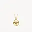 Blush Blush Medallion Hanger 6087YGO 14k Geelgoud Ovaal