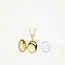 Blush Blush Medallion Hanger 6087YGO 14k Geelgoud Ovaal