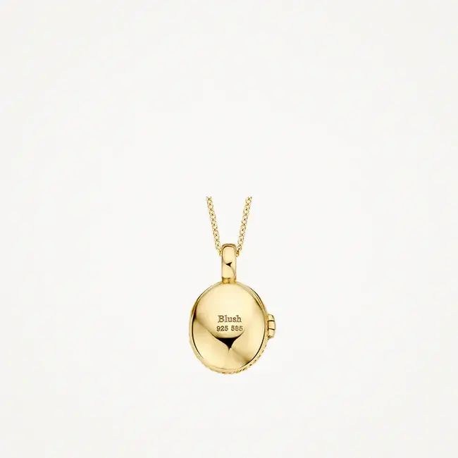 Blush Blush Medallion Hanger 6087YGO 14k Geelgoud Ovaal