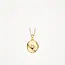 Blush Blush Medallion Hanger 6087YGO 14k Geelgoud Ovaal