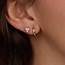 Blush Blush Oorbellen 7398YGO 14k Geelgoud Ovaal Rond