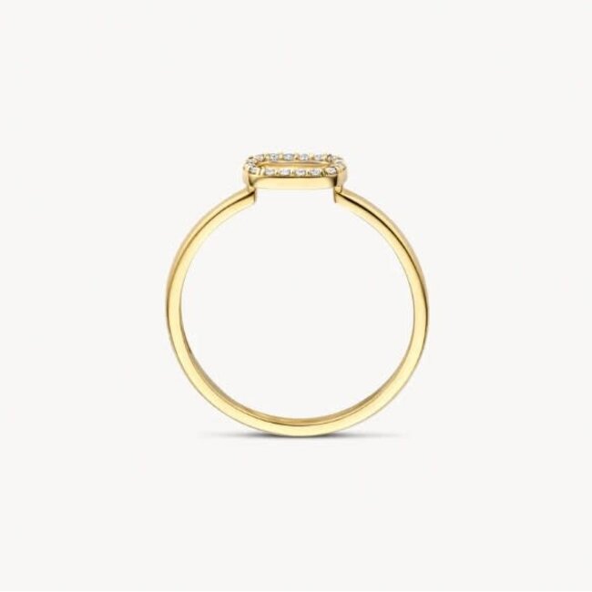 Blush Blush Ring 1289YZI/54 14k Geelgoud met Zirkonia Maat 54