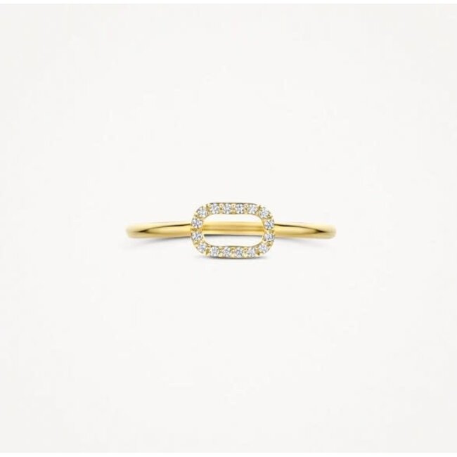 Blush Blush Ring 1289YZI/54 14k Geelgoud met Zirkonia Maat 54