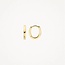 Blush Blush Oorbellen 7399YGO 14k Geelgoud Ovaal Recht 9mm x 10mm