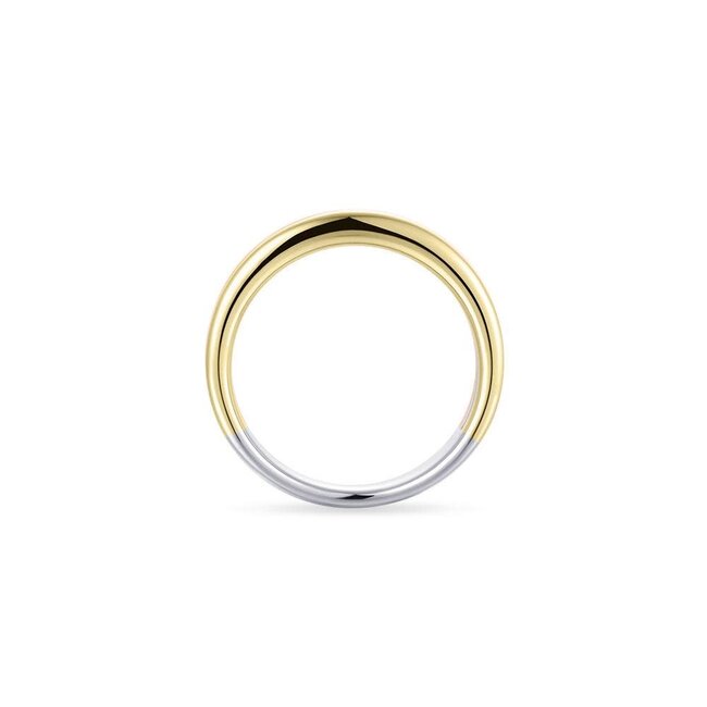 Gisser Jewels Amsterdam Gisser Jewels Ring R457T-58 Zilver Tri-color met Zirkonia Maat 58