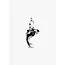 Pandora Pandora Bedel 794683C01 Zilver Orca
