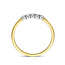 The House Of Blinckers THOB Ring 42.08929/54 14k Bi-color Goud met 3-0.15crt H SI2 Diamant Maat 54