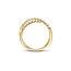 Blush Blush Ring LG1055Y/56 14k Geelgoud met 0.57crt H SI Labgrown Diamat Maat 56