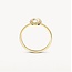 Blush Blush Ring 1279YMQ/54 14k Geelgoud Parelmoer en Zirkonia Maat 54