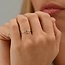 Blush Blush Ring 1282YZI/54 14k Geelgoud 2x Circle met Zirkonia Maat 54