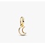 Pandora Pandora Bedel 764614C01 Zilver met 14k Geelgouden Plating Maan met Mother of Pearl