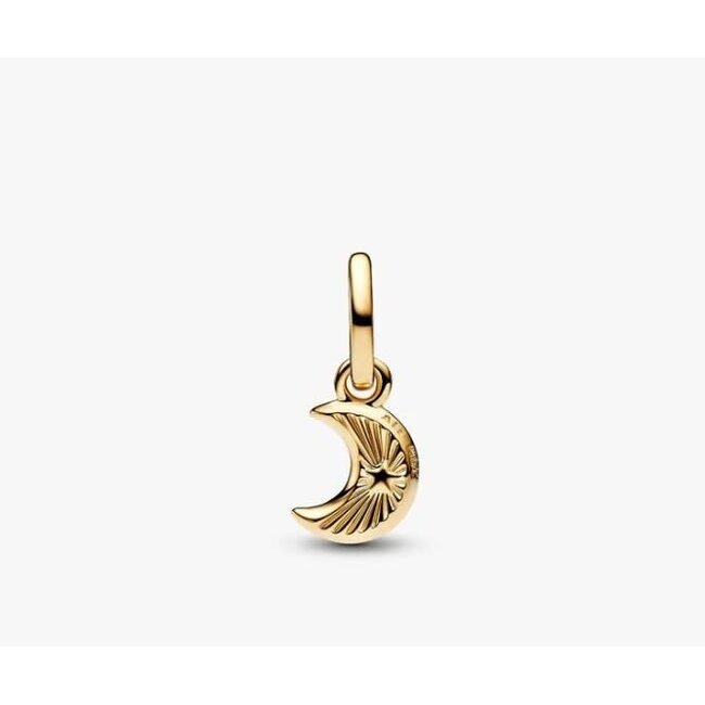 Pandora Pandora Bedel 764614C01 Zilver met 14k Geelgouden Plating Maan met Mother of Pearl