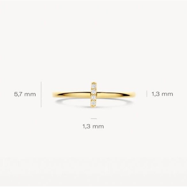 Blush Blush Ring 1270YZI/54 14k Geelgoud met Zirkonia Maat 54