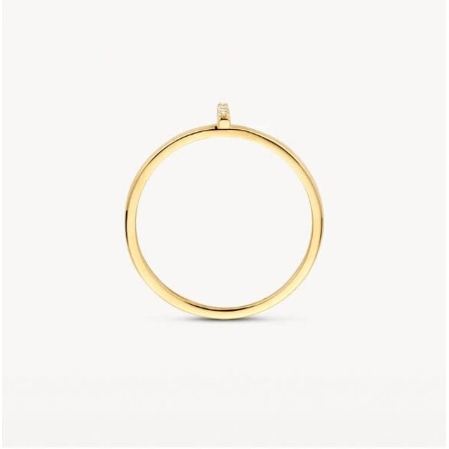 Blush Blush Ring 1270YZI/54 14k Geelgoud met Zirkonia Maat 54