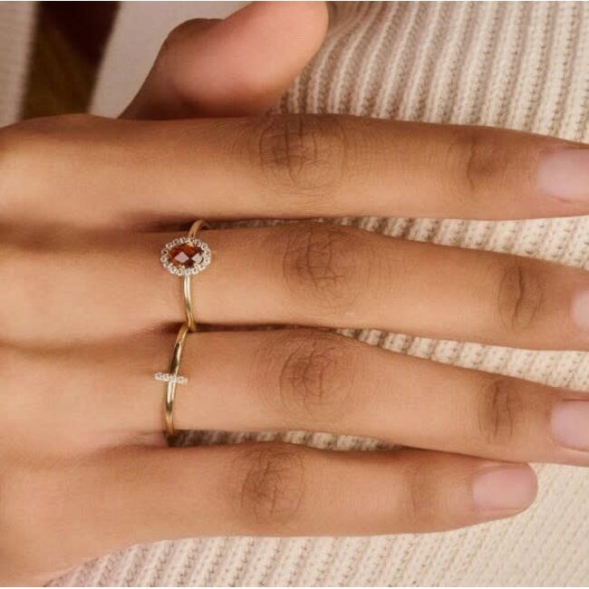 Blush Blush Ring 1270YZI/54 14k Geelgoud met Zirkonia Maat 54
