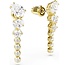 Swarovski Swarovski Oorbellen 5747936 Mesmera Goudkleurig met Kristallen