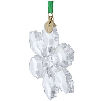 Swarovski Swarovski Ornament 5718051 Zilverkleurig Kerstornament 2026 met Groen Lint