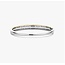 Ti Sento Milano Ti Sento Armband 23086ZY/L Zilver met Geelgouden Plating met Zirkonia Bangle 60mm
