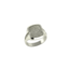 Touche Jewels Touche Ring Touhr3 Zilver Zegel met Initialen en Vingerafdruk Maat 65