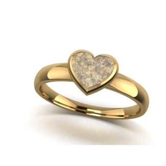 Touche Jewels Touche Ring Touras3 14k Geelgoud Hart As Maat 54