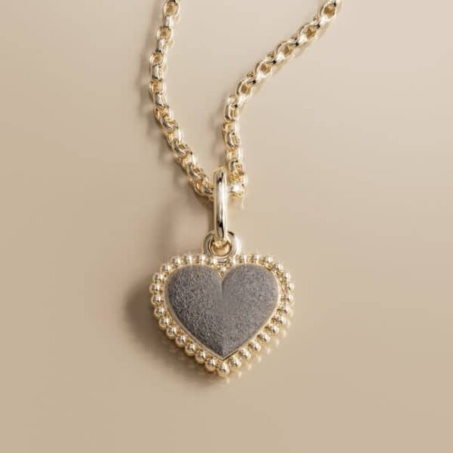Touche Jewels Touche Hanger Touas-13 14k Geelgoud Hart met Bolletjes 10mm