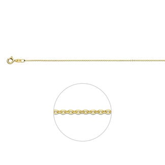 Blinckers Jewellery Huiscollectie BJ Collier 40.17136 14k Geelgoud Anker Plat 1.0mm 38cm