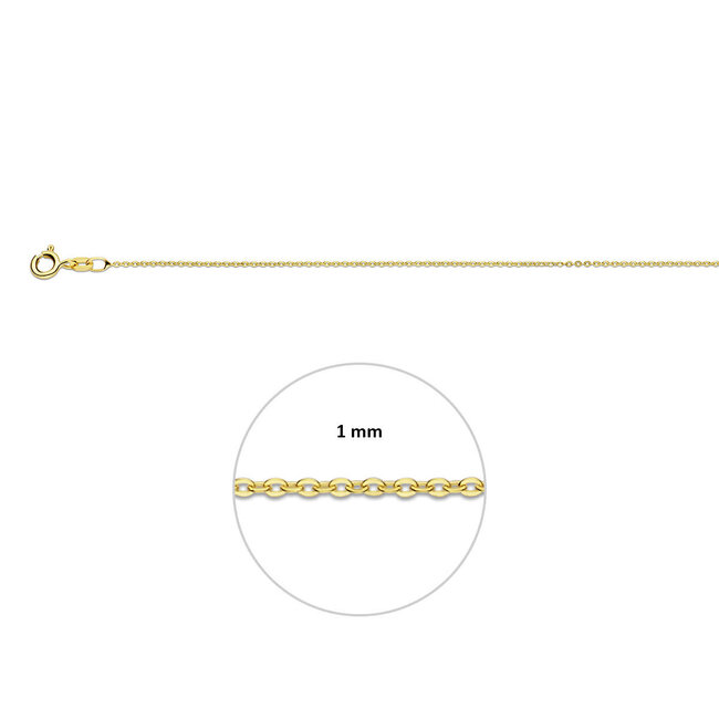Blinckers Jewellery Huiscollectie BJ Collier 40.17136 14k Geelgoud Anker Plat 1.0mm 38cm