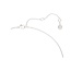 Swarovski Swarovski Collier 5740342 Classica Zilver met Witte Zirkonia 38-43cm