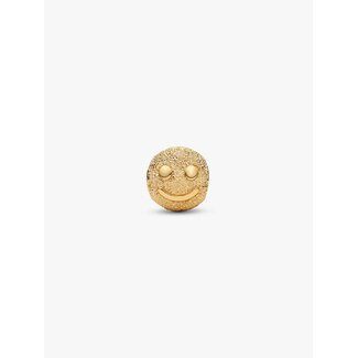 Pandora Pandora Bedel 764526C00 Zilver met 14k Geelgouden Plating Smile