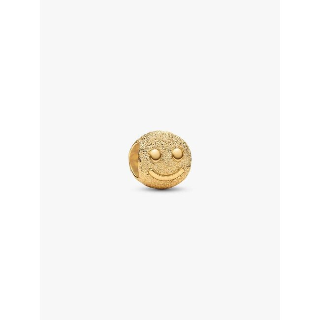 Pandora Pandora Bedel 764526C00 Zilver met 14k Geelgouden Plating Smile