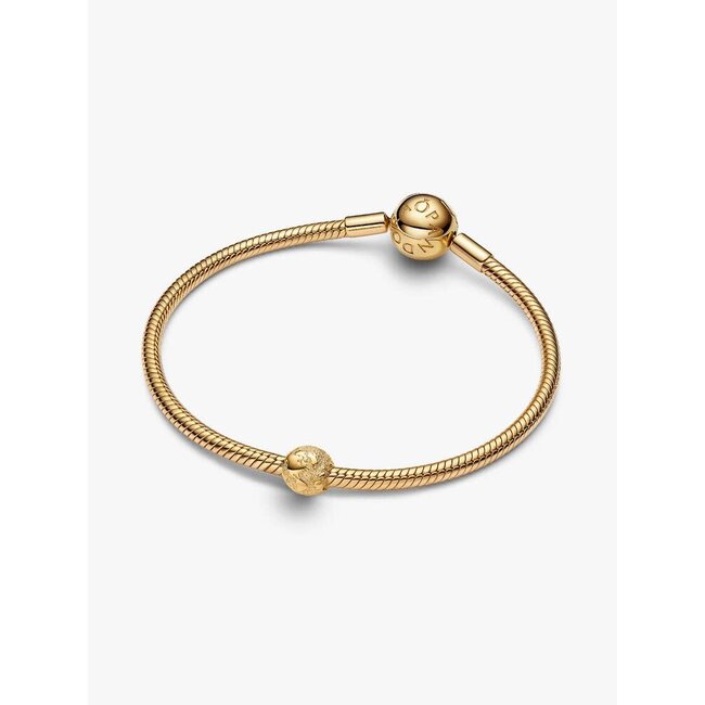 Pandora Pandora Bedel 764529C00 Zilver met 14k Geelgouden Plating Globe
