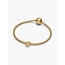 Pandora Pandora Bedel 764529C00 Zilver met 14k Geelgouden Plating Globe