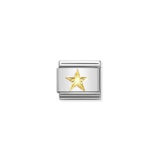 Nomination Nomination Schakel 030149-55 Composable Classic Steel met 18 k geelgouden Diamond Coated Ster