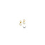 Blinckers Jewellery Huiscollectie BJ Oorbedels 40.19974 14k Geelgoud met Zoetwater Parel 4mm