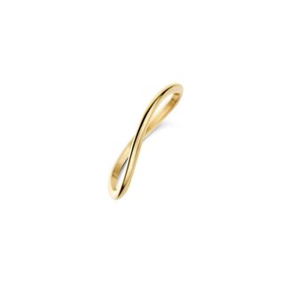 Blush Blush Ring 1283YGO/54 14k Geelgoud Glad Golvend Maat 54