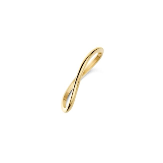 Blush Blush Ring 1283YGO/54 14k Geelgoud Glad Golvend Maat 54