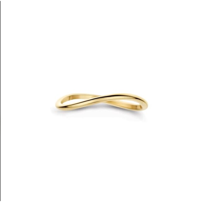 Blush Blush Ring 1283YGO/54 14k Geelgoud Glad Golvend Maat 54