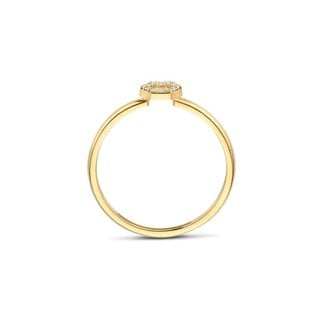 Blush Blush Ring 1287YZI/54 14k Geelgoud met Zeshoek Zirkonia Maat 54